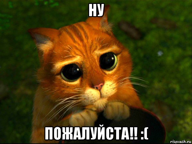 ну пожалуйста!! :(, Мем кот из шрека