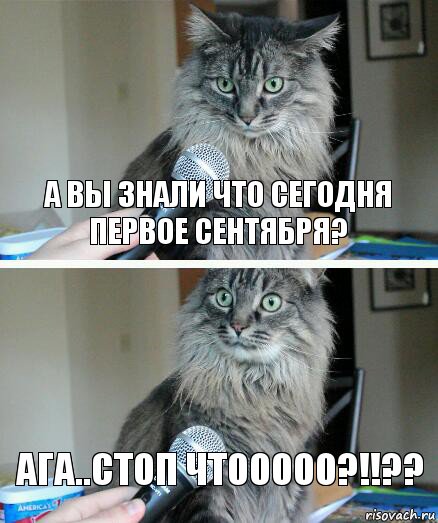 А вы знали что сегодня первое сентября? Ага..СТОП чтооооо?!!??, Комикс  кот с микрофоном