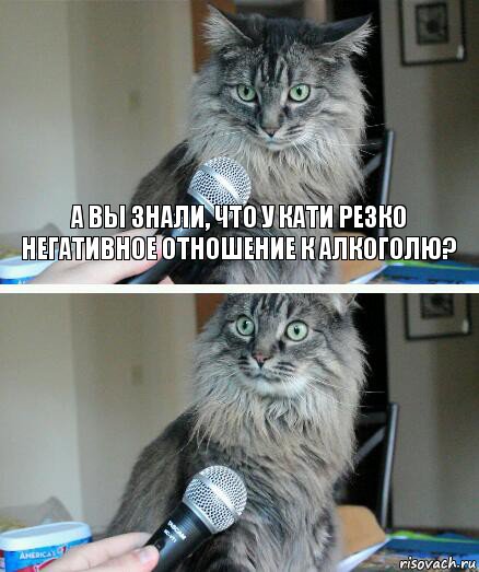 а вы знали, что у кати резко негативное отношение к алкоголю? , Комикс  кот с микрофоном