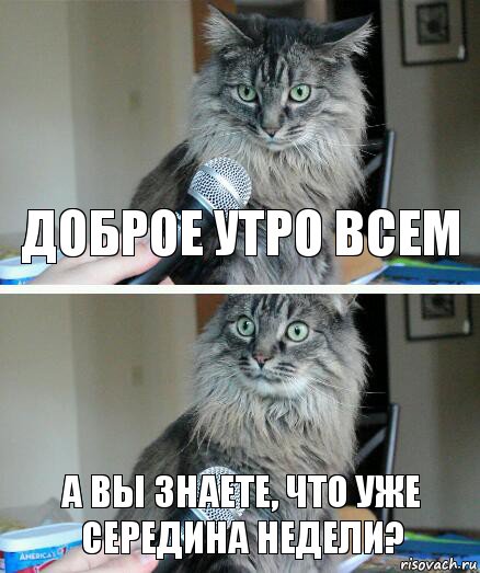 Доброе утро всем А вы знаете, что уже середина недели?, Комикс  кот с микрофоном