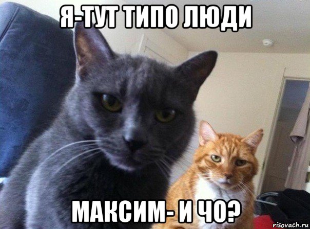 я-тут типо люди максим- и чо?