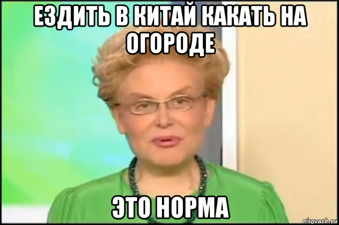 ездить в китай какать на огороде это норма, Мем Малышева