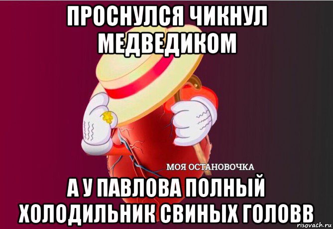 проснулся чикнул медведиком а у павлова полный холодильник свиных головв, Мем   Моя остановочка