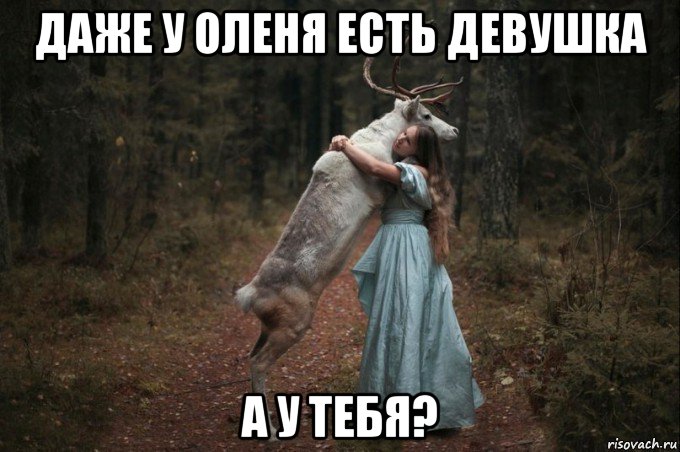 даже у оленя есть девушка а у тебя?, Мем Наивный Олень шаблон 5