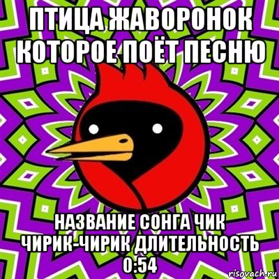 птица жаворонок которое поёт песню название сонга чик чирик-чирик длительность 0:54, Мем Омская птица