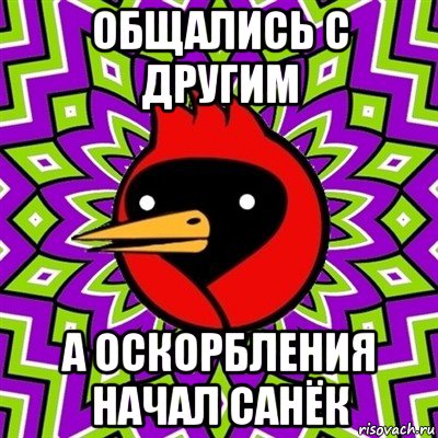 общались с другим а оскорбления начал санёк, Мем Омская птица