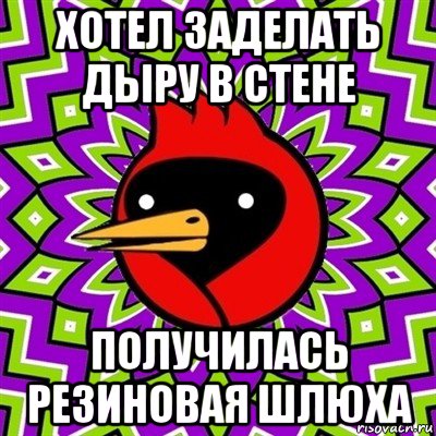 хотел заделать дыру в стене получилась резиновая шлюха, Мем Омская птица