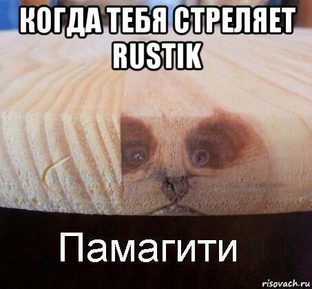 когда тебя стреляет rustik 