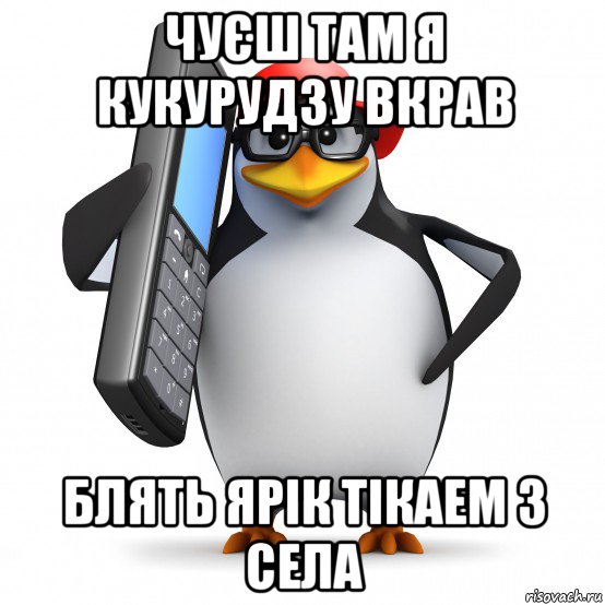 чуєш там я кукурудзу вкрав блять ярік тікаем з села, Мем   Пингвин звонит