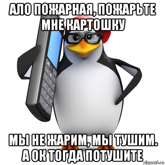 ало пожарная, пожарьте мне картошку мы не жарим, мы тушим. а ок тогда потушите, Мем   Пингвин звонит