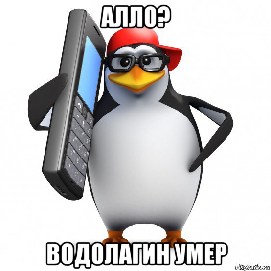 алло? водолагин умер, Мем   Пингвин звонит