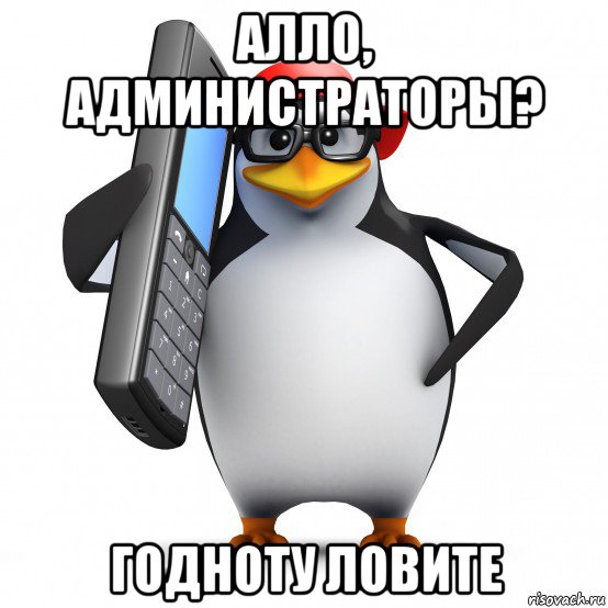 алло, администраторы? годноту ловите, Мем   Пингвин звонит