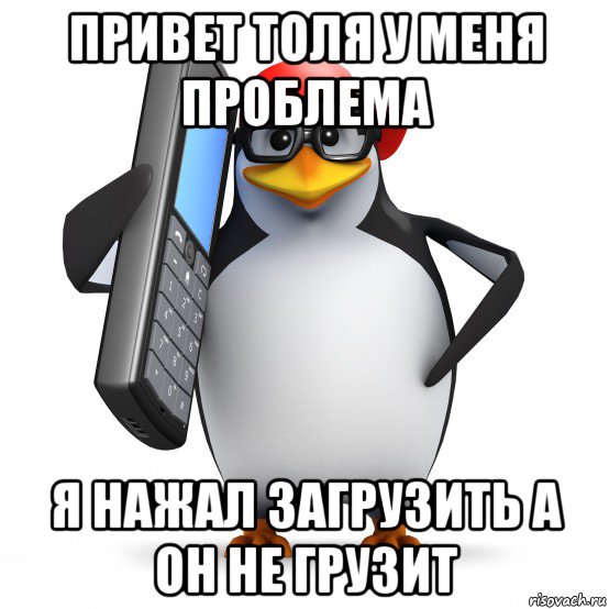 привет толя у меня проблема я нажал загрузить а он не грузит, Мем   Пингвин звонит