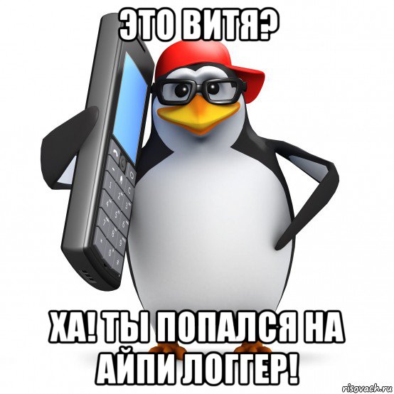 это витя? ха! ты попался на айпи логгер!, Мем   Пингвин звонит