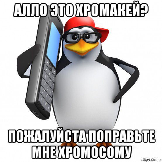 алло это хромакей? пожалуйста поправьте мне хромосому, Мем   Пингвин звонит