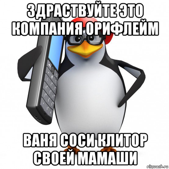 здраствуйте это компания орифлейм ваня соси клитор своей мамаши, Мем   Пингвин звонит