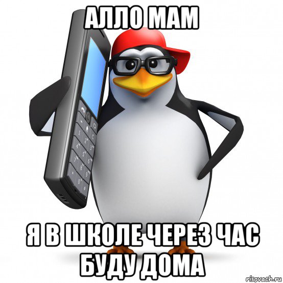 алло мам я в школе через час буду дома, Мем   Пингвин звонит