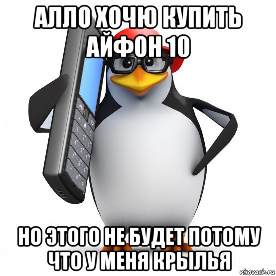 алло хочю купить айфон 10 но этого не будет потому что у меня крылья, Мем   Пингвин звонит