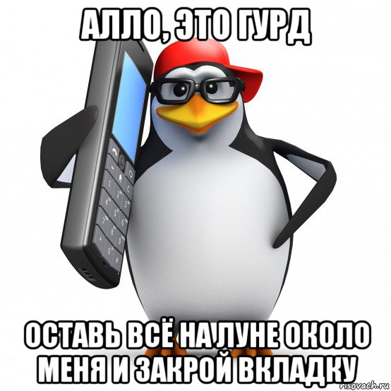 алло, это гурд оставь всё на луне около меня и закрой вкладку, Мем   Пингвин звонит