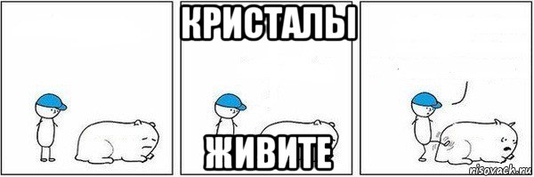 кристалы живите