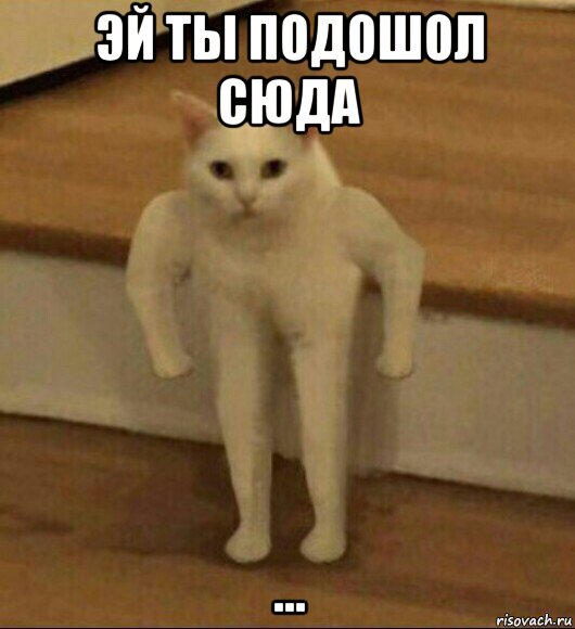 эй ты подошол сюда ..., Мем  Полукот