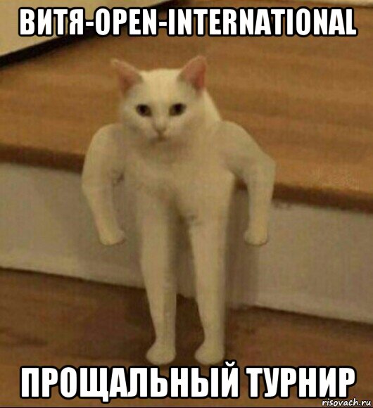 витя-open-international прощальный турнир, Мем  Полукот