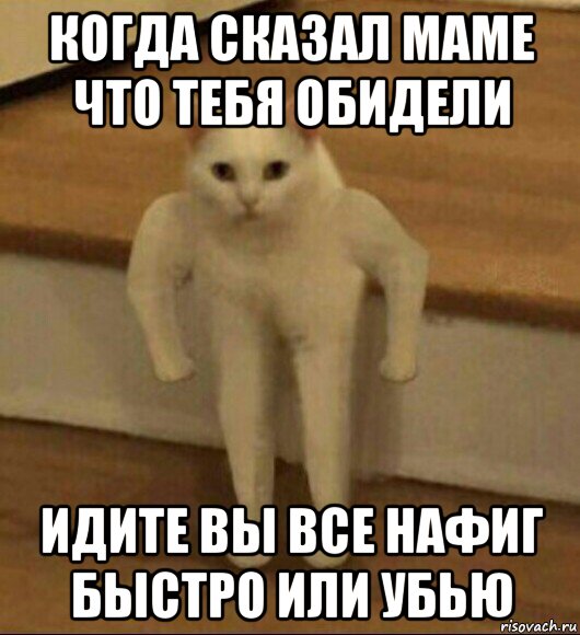 когда сказал маме что тебя обидели идите вы все нафиг быстро или убью, Мем  Полукот