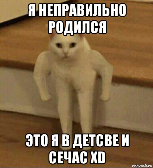 я неправильно родился это я в детсве и сечас xd, Мем  Полукот