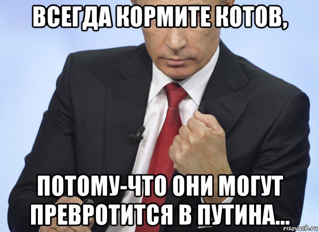 всегда кормите котов, потому-что они могут превротится в путина..., Мем Путин показывает кулак