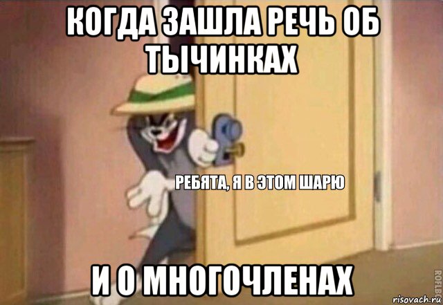 когда зашла речь об тычинках и о многочленах, Мем    Ребята я в этом шарю