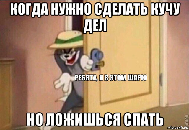 когда нужно сделать кучу дел но ложишься спать, Мем    Ребята я в этом шарю