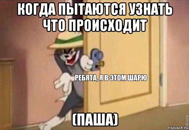 когда пытаются узнать что происходит (паша), Мем    Ребята я в этом шарю