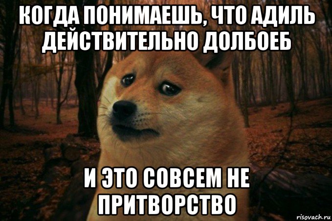 когда понимаешь, что адиль действительно долбоеб и это совсем не притворство, Мем SAD DOGE