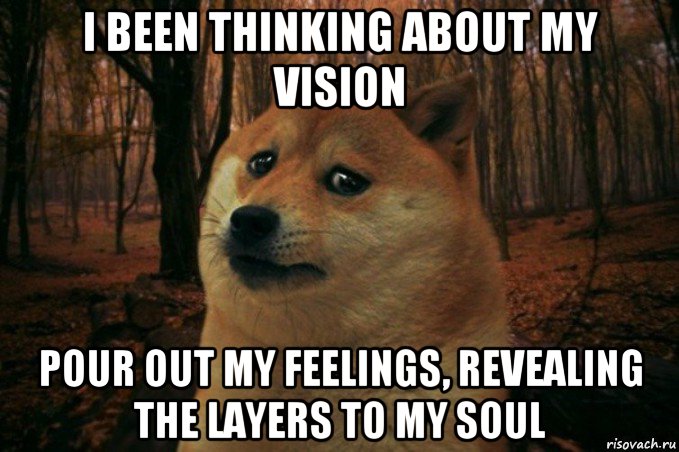 i been thinking about my vision pour out my feelings, revealing the layers to my soul, Мем SAD DOGE