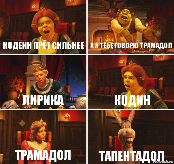 Кодеин прёт сильнее А я тебе говорю трамадол Лирика Кодин Трамадол Тапентадол, Комикс  Шрек Фиона Гарольд Осел
