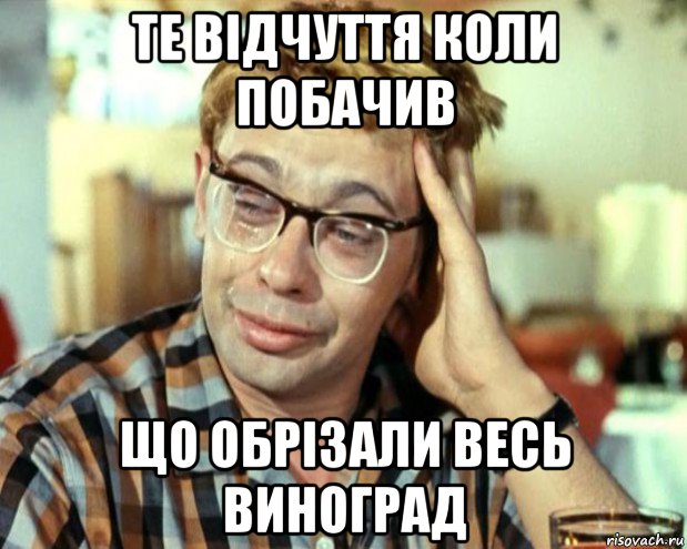 те відчуття коли побачив що обрізали весь виноград