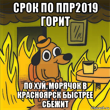 срок по ппр2019 горит по хуй, морячок в красноярск быстрее сбежит, Мем Собака в огне