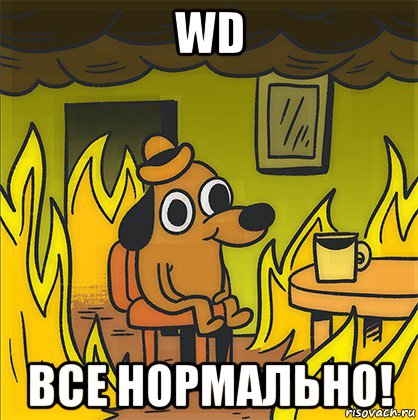 wd все нормально!, Мем Собака в огне