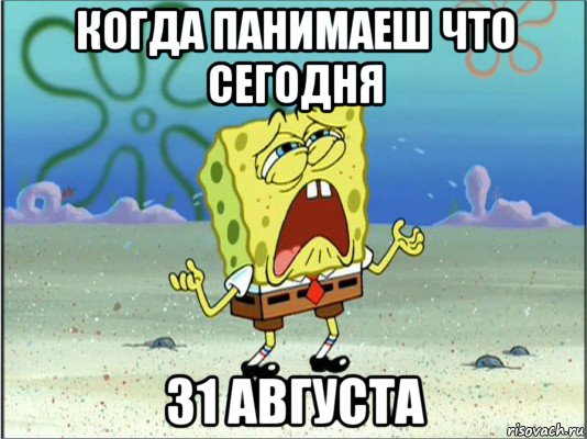 когда панимаеш что сегодня 31 августа, Мем Спанч Боб плачет