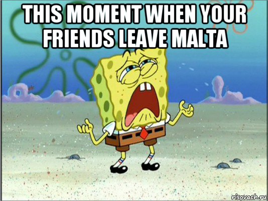 this moment when your friends leave malta , Мем Спанч Боб плачет