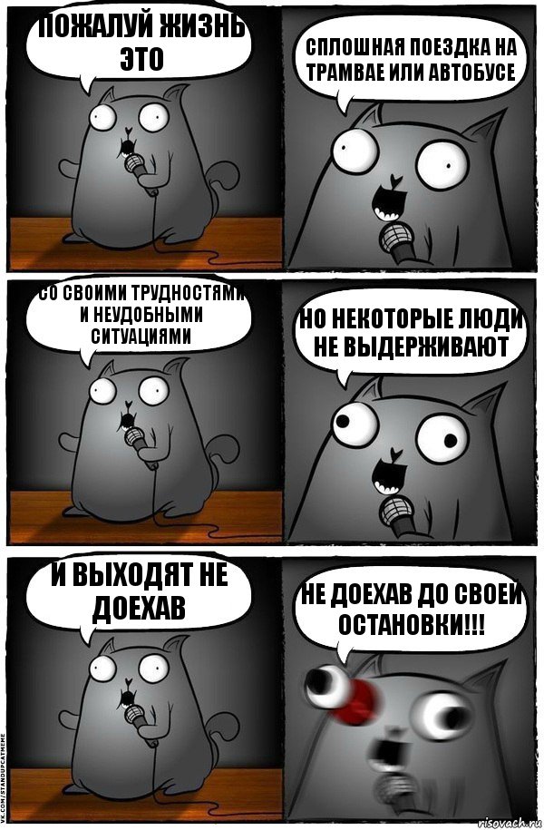 Пожалуй жизнь это сплошная поездка на трамвае или автобусе со своими трудностями и неудобными ситуациями Но некоторые люди не выдерживают и выходят не доехав не доехав До своей ОСТАНОВКИ!!!, Комикс  Стендап-кот