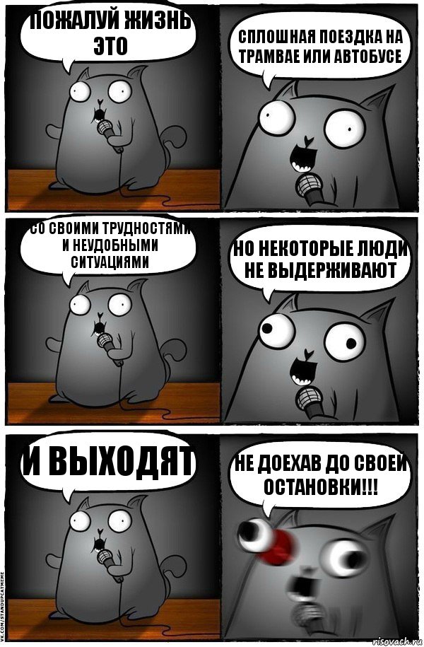 Пожалуй жизнь это сплошная поездка на трамвае или автобусе со своими трудностями и неудобными ситуациями Но некоторые люди не выдерживают и выходят не доехав До своей ОСТАНОВКИ!!!, Комикс  Стендап-кот