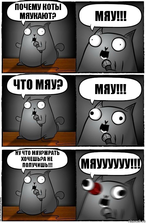 Почему коты мяукают? Мяу!!! Что мяу? МЯУ!!! Ну ЧтО МЯу?ЖРАТЬ ХОЧЕШЬ?А НЕ ПОЛУЧИШЬ!!! МЯУУУУУУ!!!, Комикс  Стендап-кот