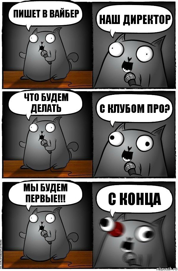 Пишет в вайбер наш директор что будем делать с клубом про? Мы будем первые!!! с конца, Комикс  Стендап-кот