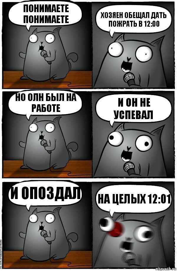 понимаете понимаете хозяен обещал дать пожрать в 12:00 но олн был на работе и он не успевал и опоздал на целых 12:01, Комикс  Стендап-кот