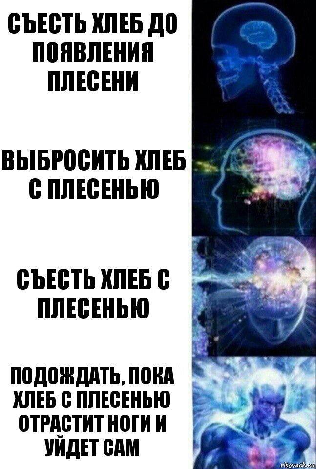 Съесть хлеб до появления плесени Выбросить хлеб с плесенью Съесть хлеб с плесенью Подождать, пока хлеб с плесенью отрастит ноги и уйдет сам, Комикс  Сверхразум