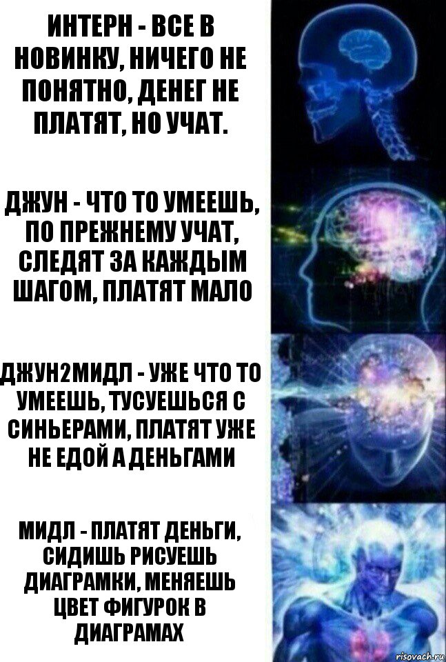 Интерн - все в новинку, ничего не понятно, денег не платят, но учат. джун - что то умеешь, по прежнему учат, следят за каждым шагом, платят мало джун2мидл - уже что то умеешь, тусуешься с синьерами, платят уже не едой а деньгами мидл - платят деньги, сидишь рисуешь диаграмки, меняешь цвет фигурок в диаграмах, Комикс  Сверхразум