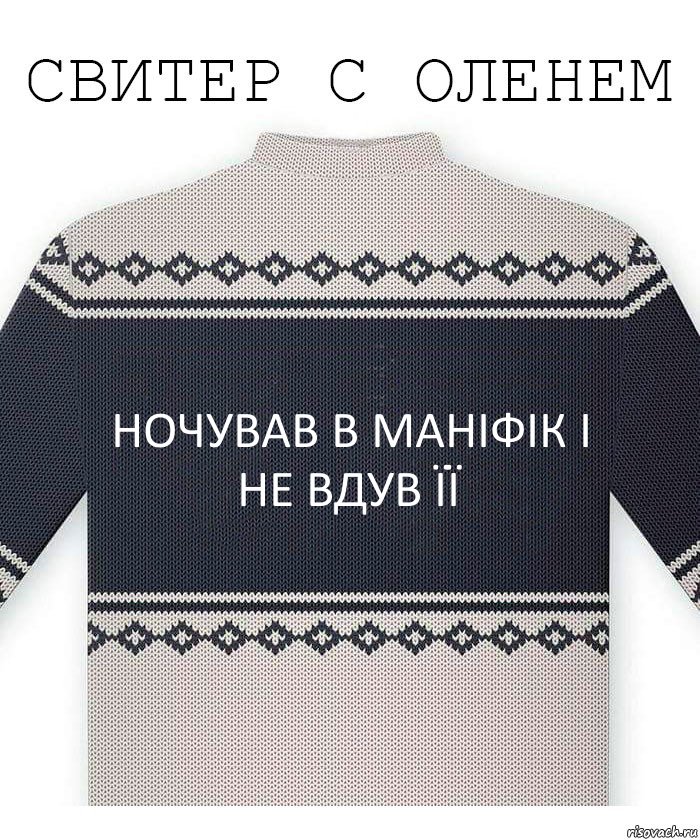 ночував в маніфік і не вдув її, Комикс  Свитер с оленем