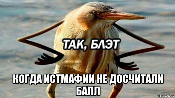  когда истмафии не досчитали балл, Мем  Так блэт