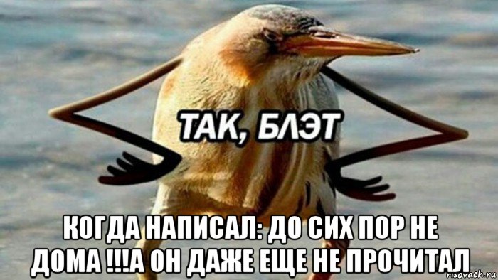  когда написал: до сих пор не дома !!!а он даже еще не прочитал, Мем  Так блэт